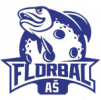 Florbal Aš