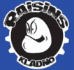 SK Kladno Raisins